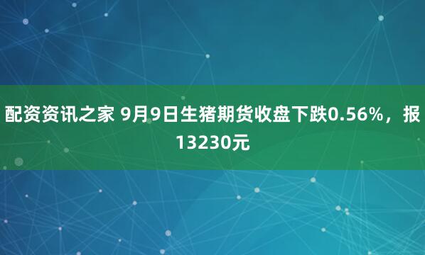 配资资讯之家 9月9日生猪期货收盘下跌0.56%,报13230元
