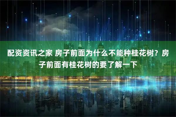 配资资讯之家 房子前面为什么不能种桂花树？房子前面有桂花树的要了解一下