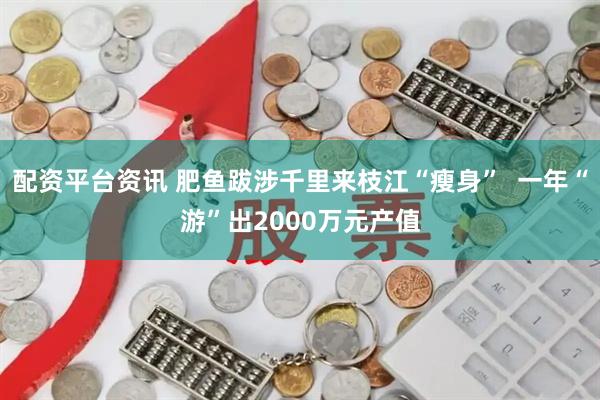 配资平台资讯 肥鱼跋涉千里来枝江“瘦身” 一年“游”出2000万元产值