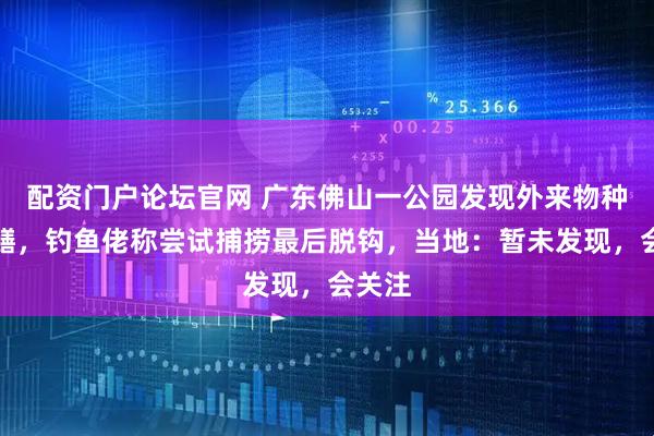 配资门户论坛官网 广东佛山一公园发现外来物种鳄雀鳝,钓鱼佬称尝试捕捞最后脱钩,当地:暂未发现,会关注